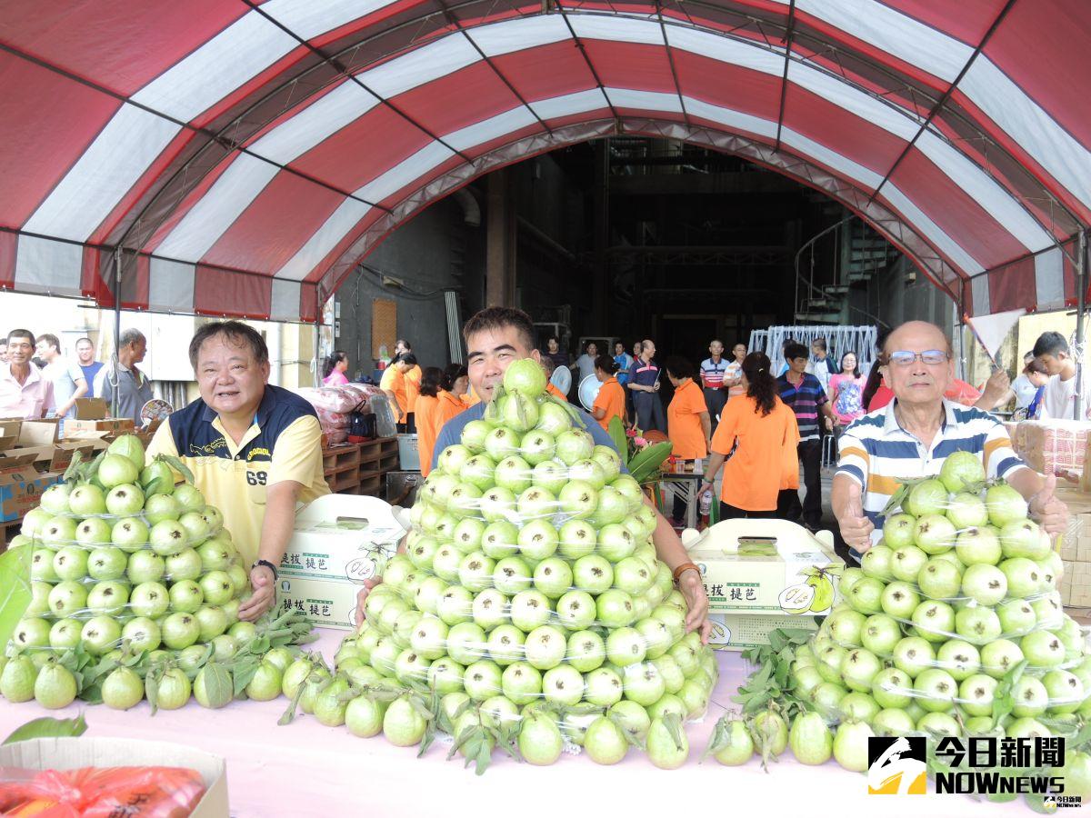 ▲芭樂汁多，果肉豐富，口感好還含有豐富的營養，深受消費者喜愛，吃過量容易導致血糖往上飆升。（圖／記者陳雅芳攝，2019.07.22）