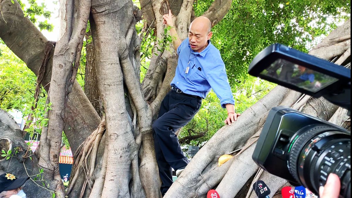 韓國瑜攀到樹上，檢查有無樹洞孳生病媒蚊的可能。 (圖/記者郭俊暉攝)