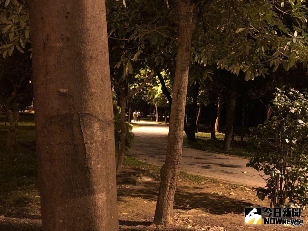 ▲巴克禮公園休園隔天晚上，就有民眾入內活動。（圖／記者陳聖璋攝，2019.07.23）