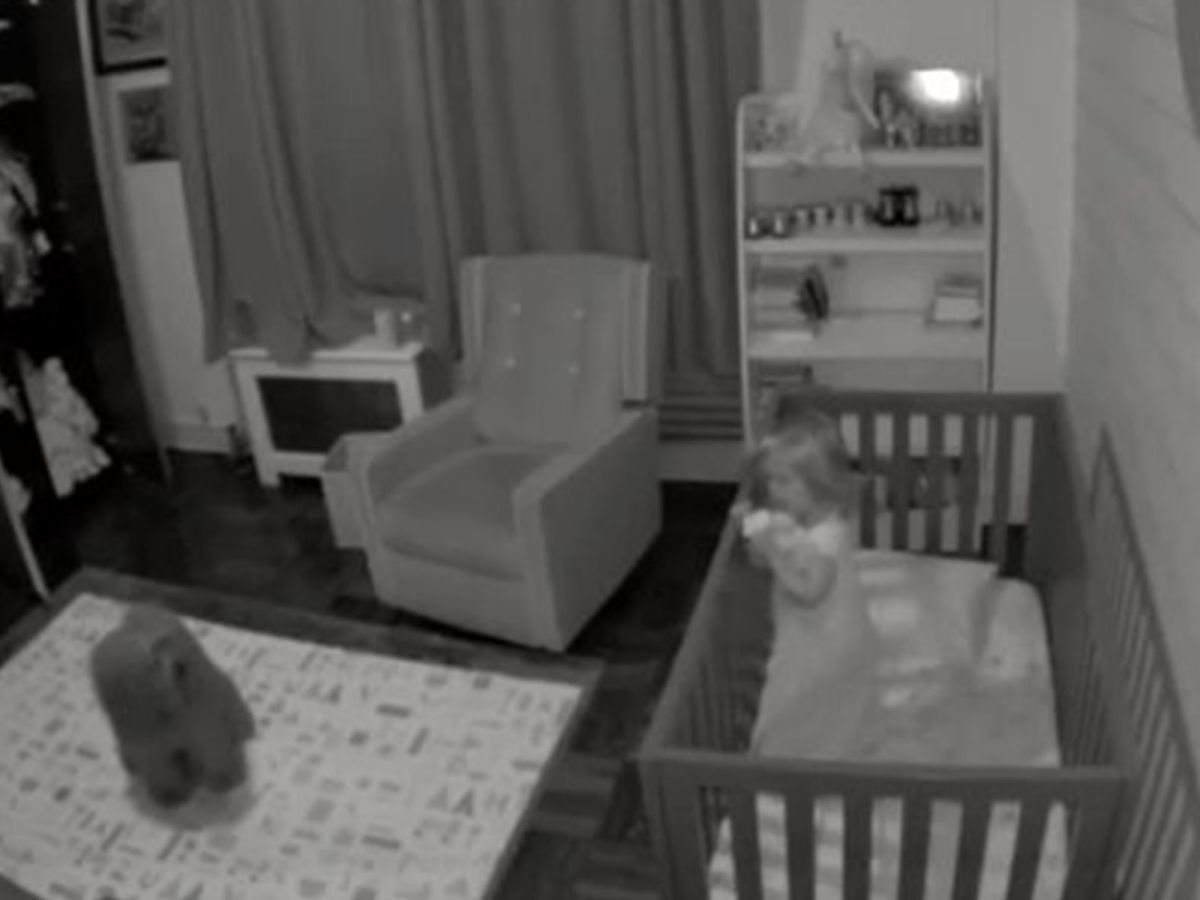 王子一聽到哈蕾哭鬧馬上衝進房間，牠開始在地上翻滾耍萌，而哈蕾見到王子也止住哭鬧，情緒很快就平復下來～(圖/Youtube@Zachary Lebwohl)