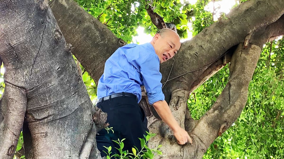 ▲韓國瑜爬樹視察登革熱，引發網友熱議。（圖／ NOWnews 資料照片）
