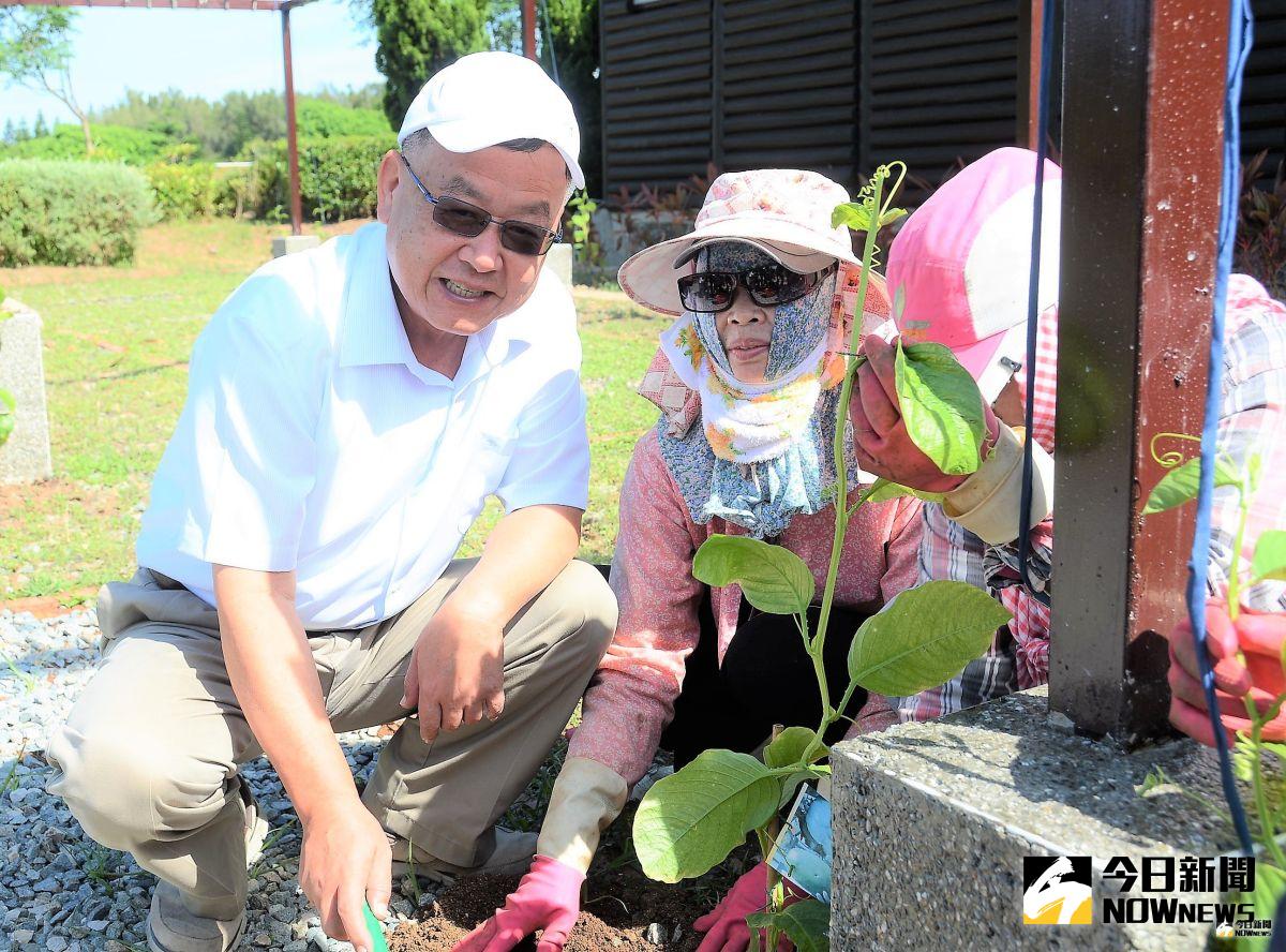 ▲賴峰偉親手種下一株百香果苗，和同仁約定3年之後，等到果實纍纍的豐收時節，邀請縣府同仁在此享用現榨百香果汁。（圖／記者張塵攝，2019.07.25）