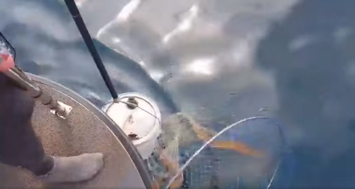 ▲潛水教練王銘祥是第一發現者，也立刻把這些油桶從海中打撈上船，但是發現時裏頭的廢機油已經擴散，汙染美麗的海洋。（圖／翻攝海委會臉書）