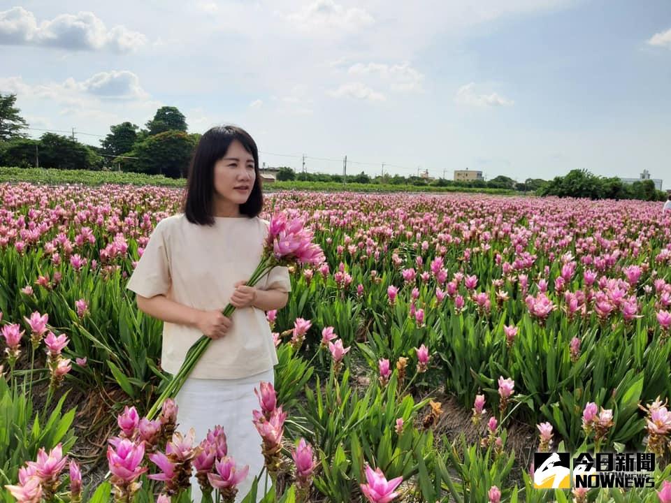 ▲薑荷花原產於泰國，外型類似荷花，加上花色討喜，還會散發淡淡花香，完全正中少女的心，有很新人慕名選擇到薑荷花田拍攝婚紗。（圖／記者陳雅芳攝，2019.07.28）