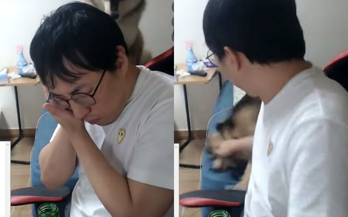 ▲YouTuber不爽被狗割傷臉，甩巴掌虐狗。（圖／승냥이 YouTube）