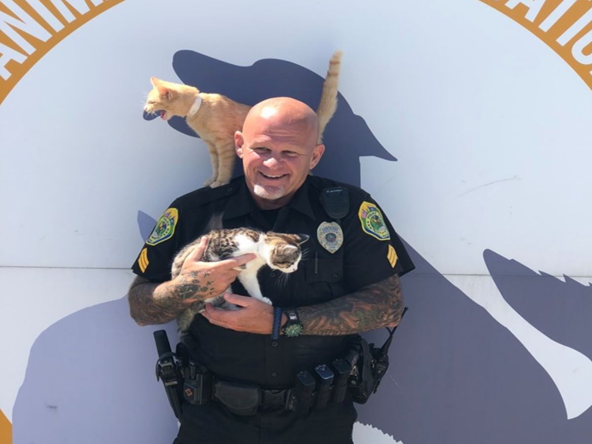 Muncie警察局提出以捐貓糧取代繳納停車費活動（圖／FB@Muncie Police Department）