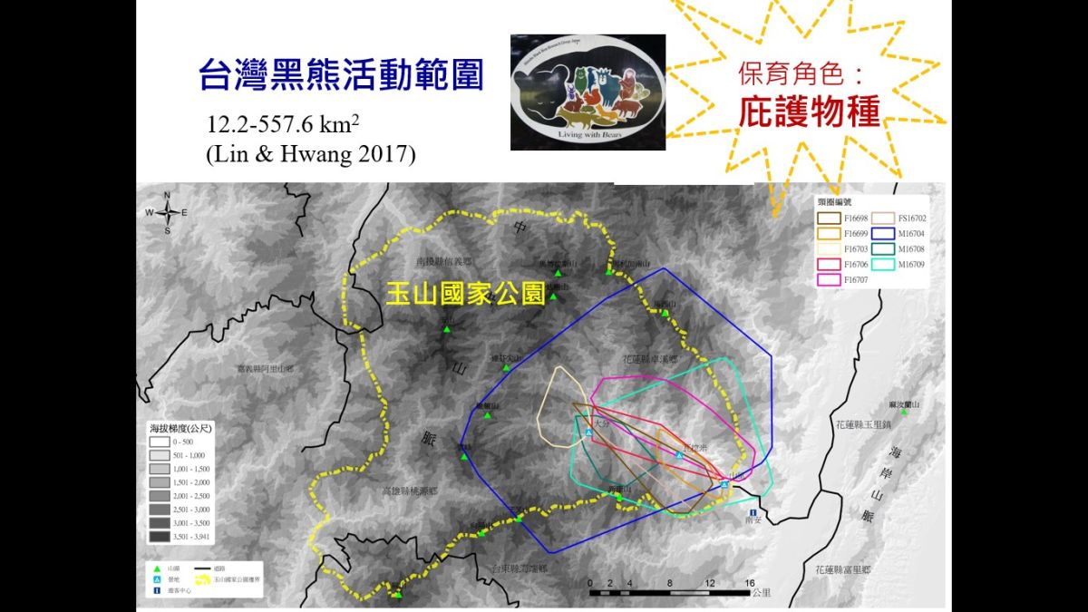 ▲台灣黑熊保育協會理事長黃美秀表示，花蓮再現熊跡不稀奇，那裡本就是牠們的家。（圖／翻攝自黃美秀臉書）