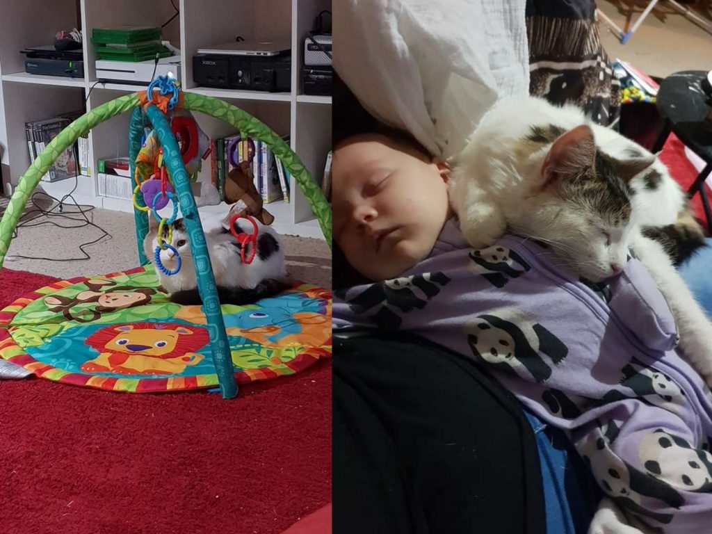 貝兒自認玩具是自己的，會趁著沒人的時候偷偷躺在遊戲墊上，玩玩具玩得很開心～ (圖/Aurora Brooks) 