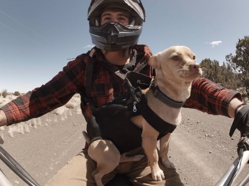荒漠中路邊狗狗突然跳上車　自主加入男子成為旅行好夥伴！