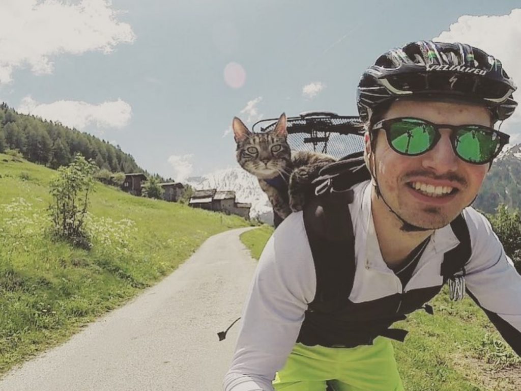 聰明的Cathode在見到Rémy的那一刻就決定了自己的鏟屎官，主動爭取被帶回家的機會，一人一喵開啟他們的旅程！(圖/IG@mon_copain_ray) 