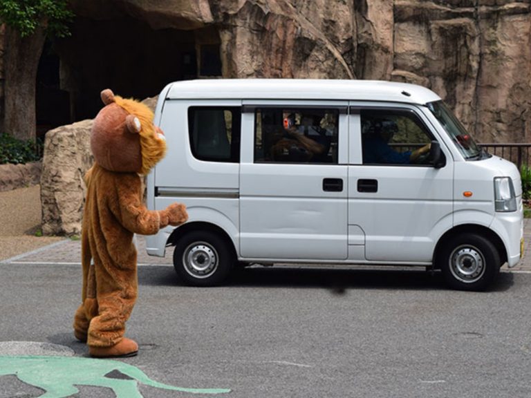 大貓也傻眼！日本動物園舉行逃脫演習　一旁真獅全程看呆