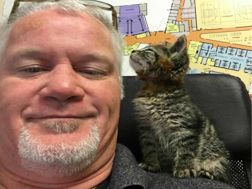 恰克在馬路上救援一隻被黏住的小貓（圖／FB@Sticky the Kitty）