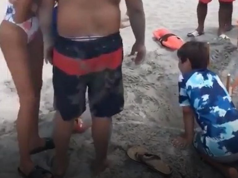 小男孩挖了近1公尺深的洞，將小海龜裝進桶子裡。 (圖/Twitter@DymburtNews) 