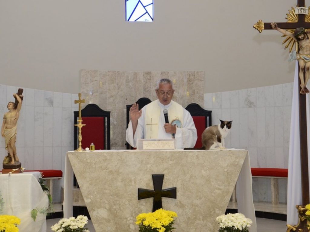 即使朱尼爾在旁邊，但神父一點也不受影響，依然認真佈道著。 (圖/Facebook@Paróquia São Sebastião – Atibaia/SP) 