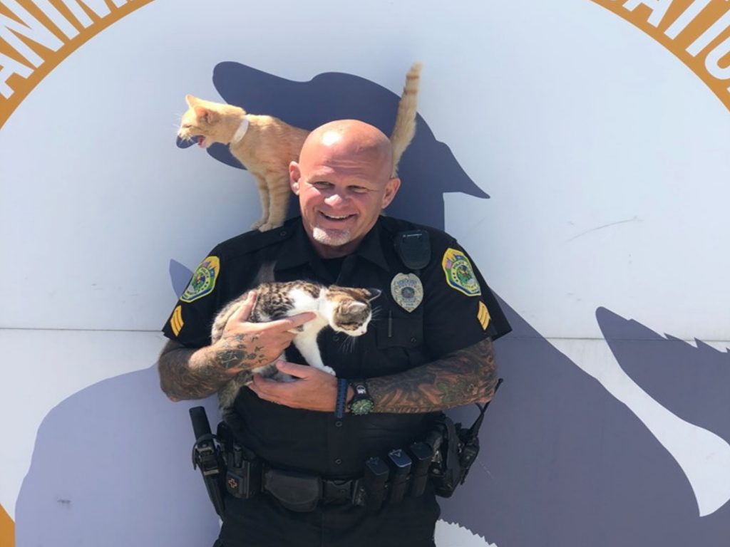 Muncie警察局提出以捐貓糧取代繳納停車費活動（圖／FB@Muncie Police Department）