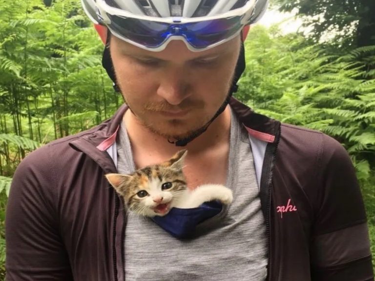 一對夫妻在樹林騎單車時意外遇見落單的小貓（圖／IG＠tartemadame）