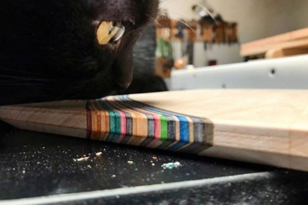 木匠師收編飢餓小黑貓　意外成為工廠最佳小監工