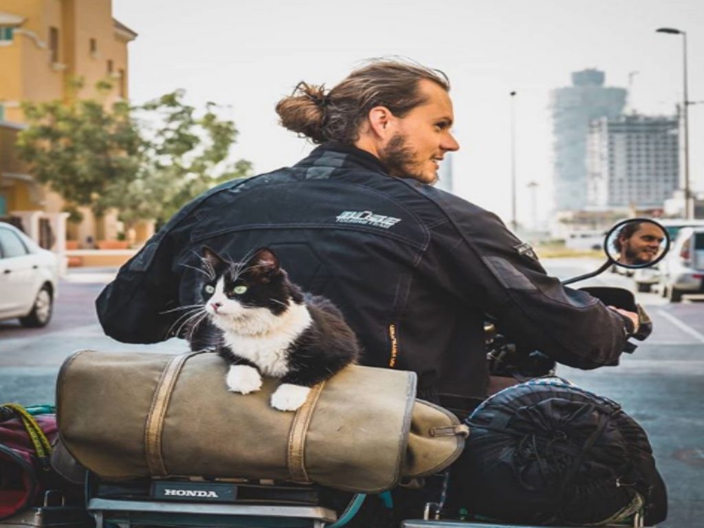 貓咪Mogli與把拔騎重機旅行（圖／IG@motomogli）