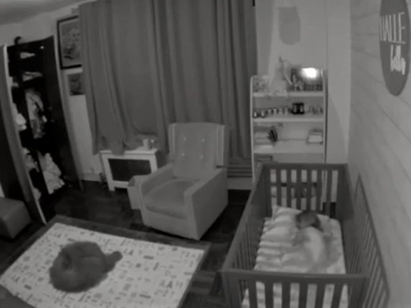 汪褓姆半夜聽見寶寶哭鬧　立刻衝進房間哄她入眠超暖心！