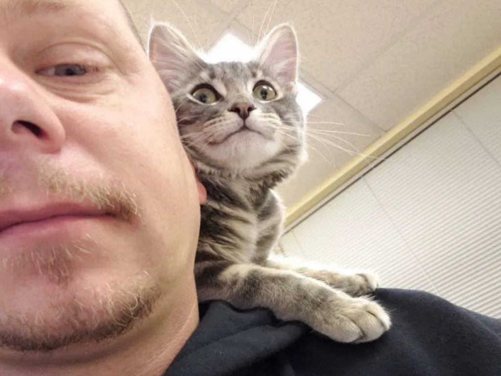 小貓Mercy成功被收編並成為療癒系警貓！（圖／Love Meow）