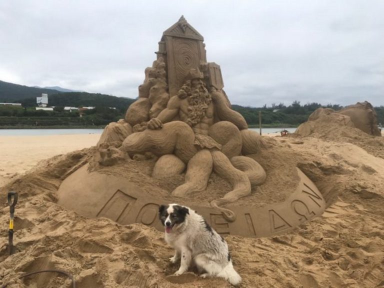 動物之家公關犬找到新主人　忠心守護沙雕創作
