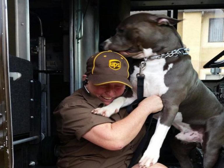 UPS快遞員凱蒂與狗狗里歐特別投緣（圖／FB@UPS Dogs）