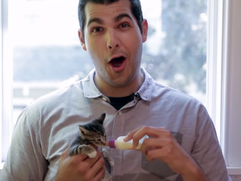 男子對於自己餵小貓喝奶感到非常不可思議！（圖／翻攝自Youtube@BuzzFeedVideo）