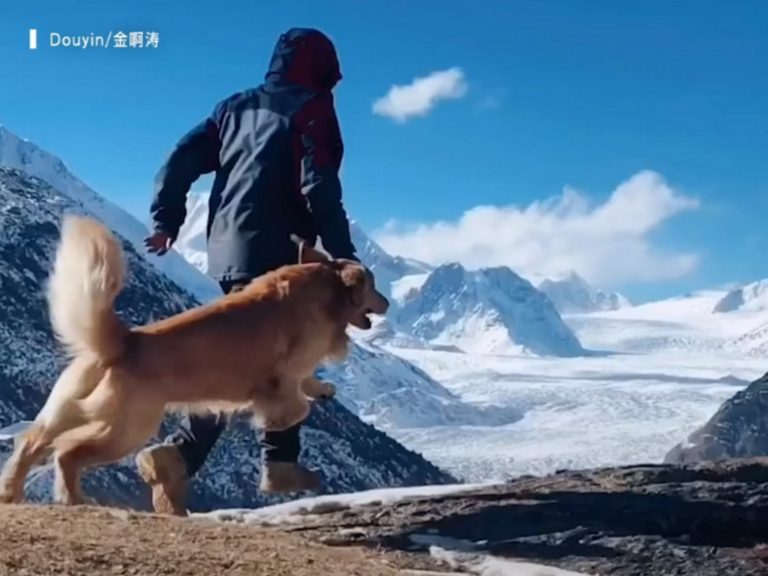 一人一狗就這樣徒步踏上西藏之旅。 (圖/Youtube@South China Morning Post) 