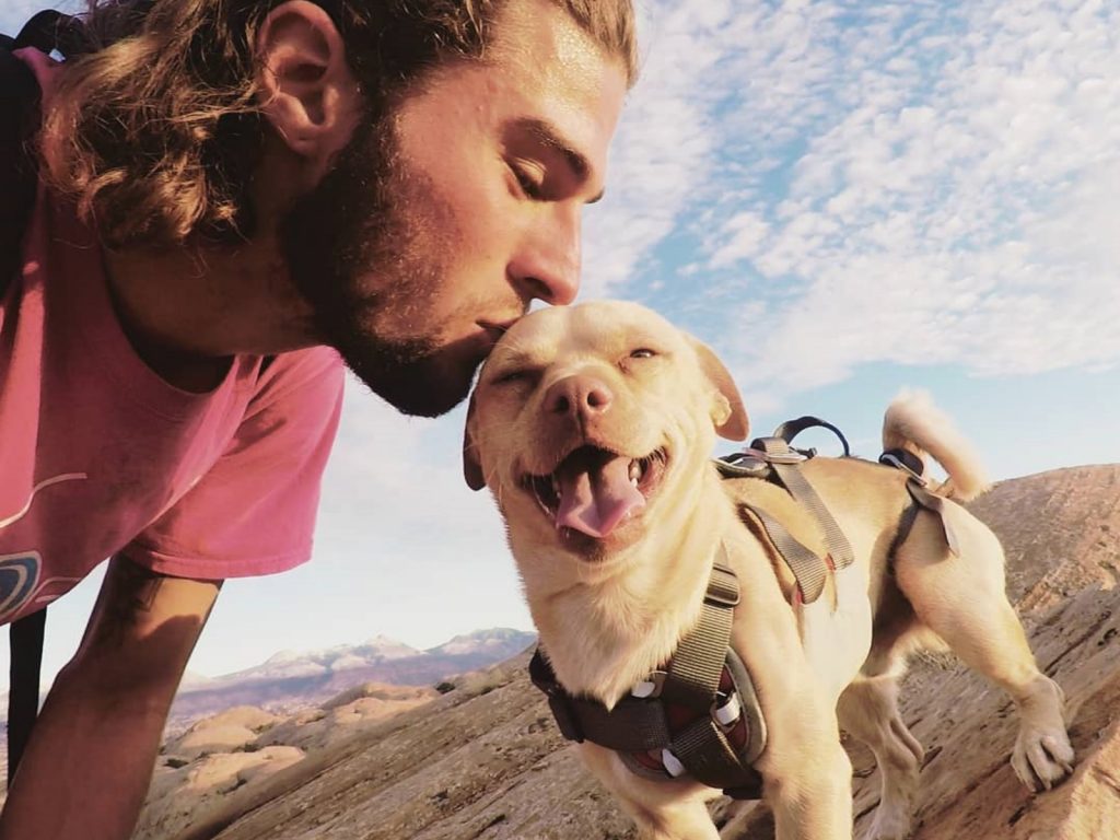 帕克第一眼見到蔡斯，就認定他是主人，自己跳上車要跟著冒險！(圖/IG@roadsidepaco) 