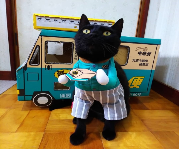 貓星人穿制服送包裹　能天天訂宅配請牠送貨嗎？