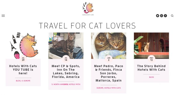 這些旅館都有貓！外國網站盤點全球貓旅館　成貓奴旅行指南