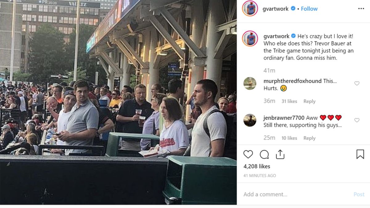 Trevor Bauer被交易隔天現身球場看球。（取自大聯盟官網）