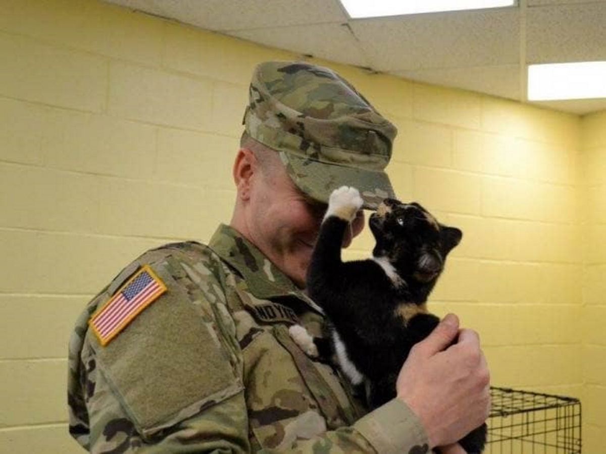 自認狗派的男子竟然領養了一隻喵星人！（圖／Love Meow）