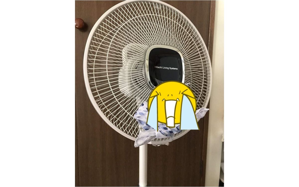 ▲「老梗」的消暑神招又再度於日本網友間瘋傳。（圖／翻攝推特 @akaakmjoe ）