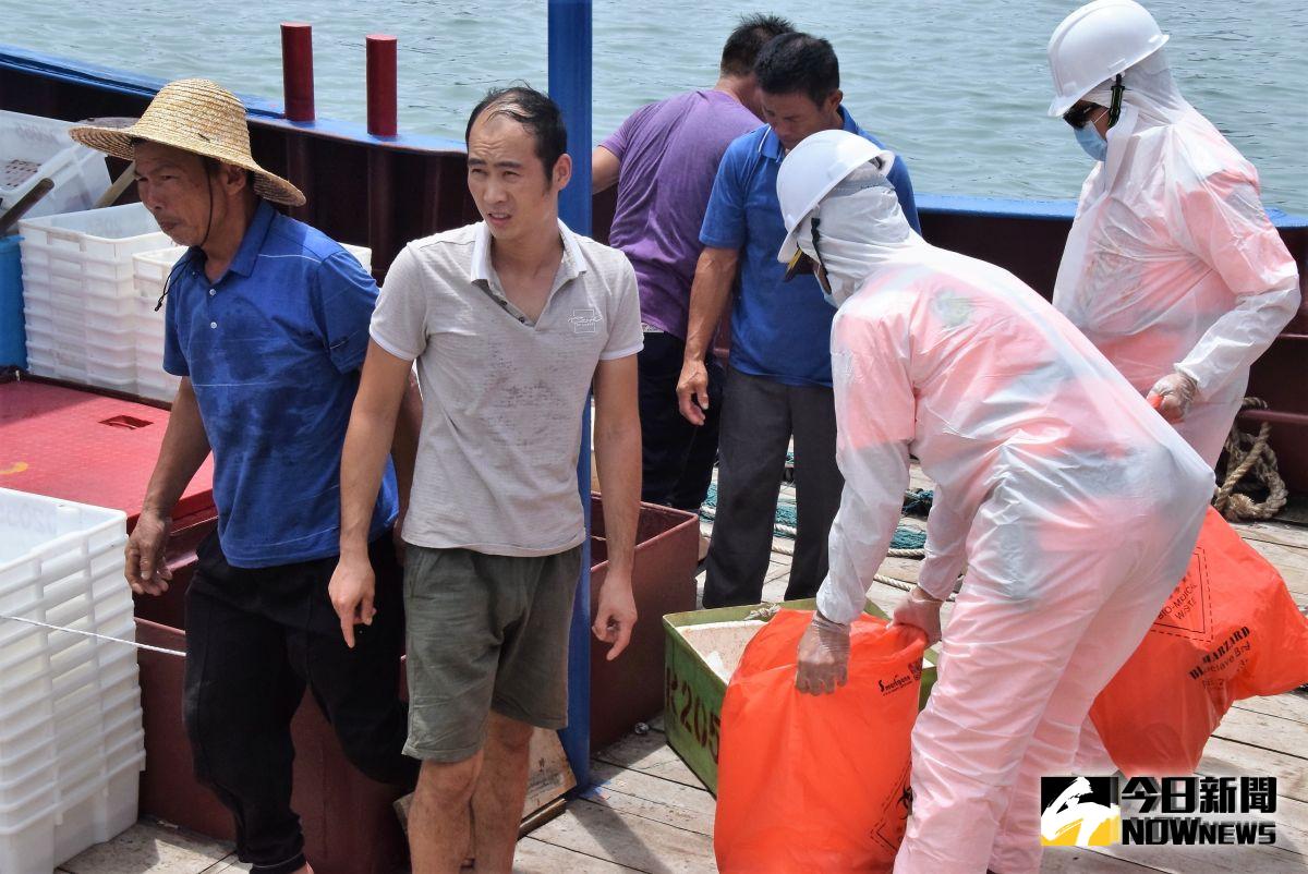 ▲澎湖海巡隊於中國大陸休漁期開放第二日執行威力掃蕩勤務，查扣「閩惠漁02055號」陸船越界航行且行跡可疑，並查扣約15公斤的豬肉予以銷毀。（圖／記者張塵攝，2019.08.02）