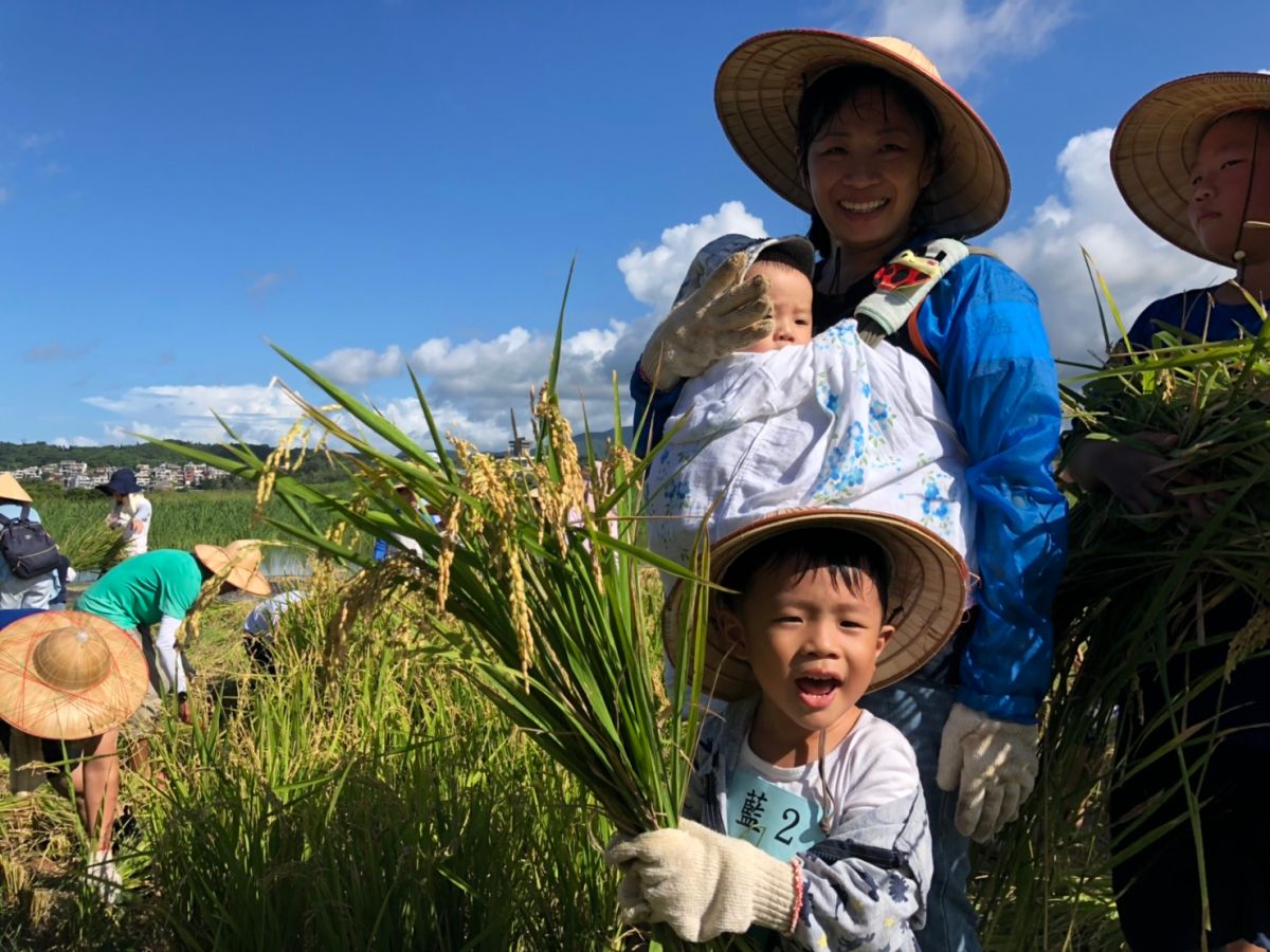 ▲小朋友參與「收割趣」的教學活動，並捲起褲管充當一日小農夫。（圖／春雷環境學社提供）