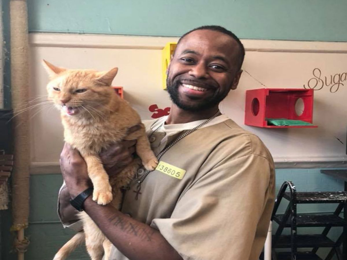 受刑人因為與貓咪接觸，重拾對生活的熱情！（圖／Pendleton Correctional Facility_FORWARD）