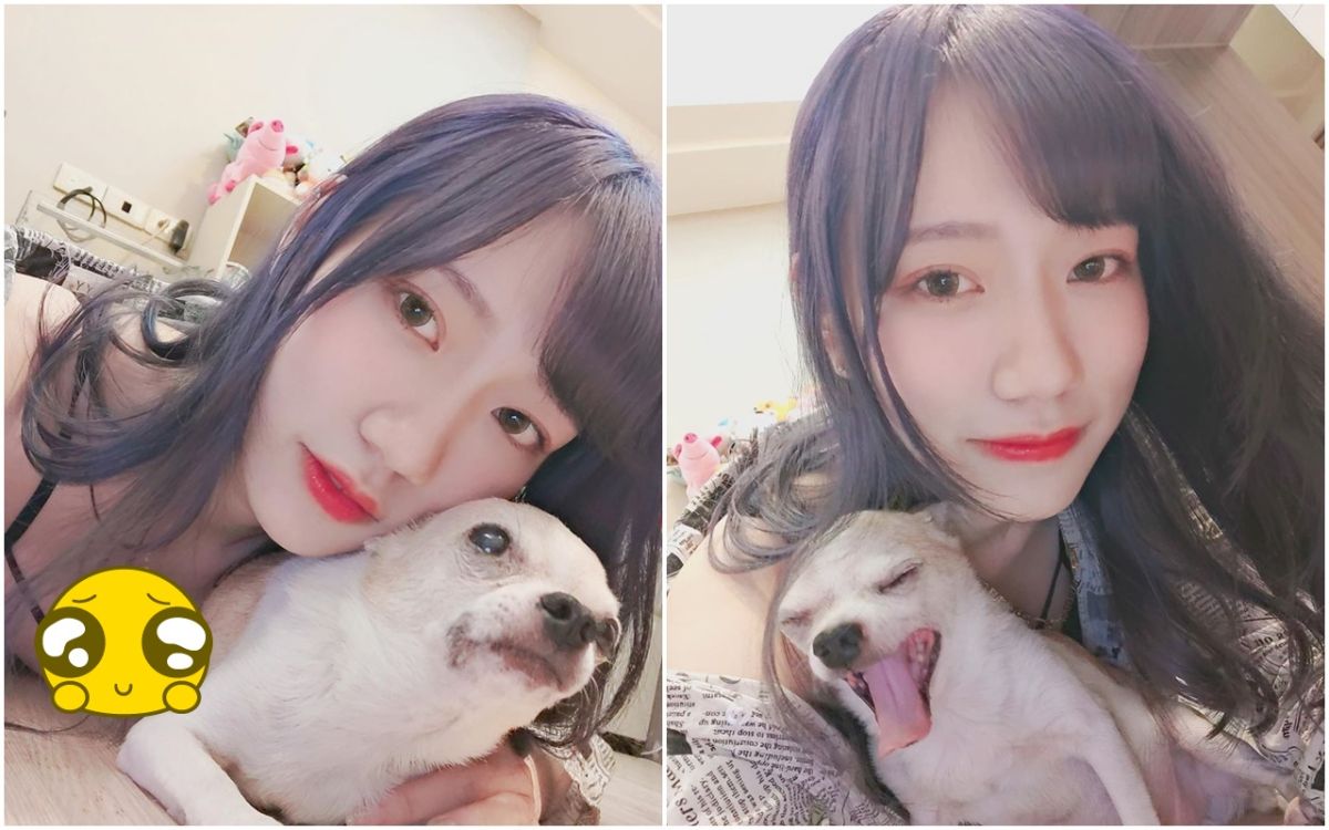 ▲與家中狗狗親密互動時，往往是人最放鬆心情的時間。一名網美也在與家中狗狗開心的玩再一起，露出超深事業線。（圖／翻攝 IG han48ox ）