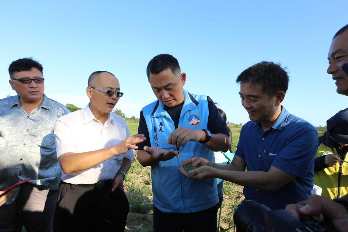 ▲金門縣長楊鎮浯仔細詢問秋行軍蟲的防治方法。(圖／金門縣府提供）