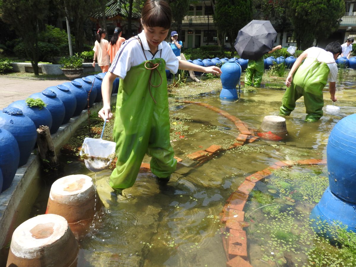 ▲樹林高中學生參與水生池改造過程。（圖／新北市教育局提供）
