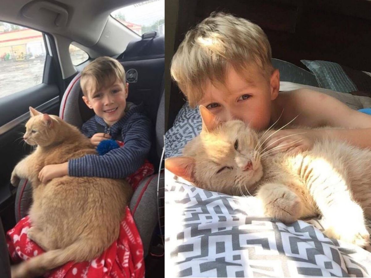 份量十足的小小都還沒到家就不停討抱抱，直到伊斯頓抱著牠才安靜下來。 (圖/Exploits Valley SPCA)