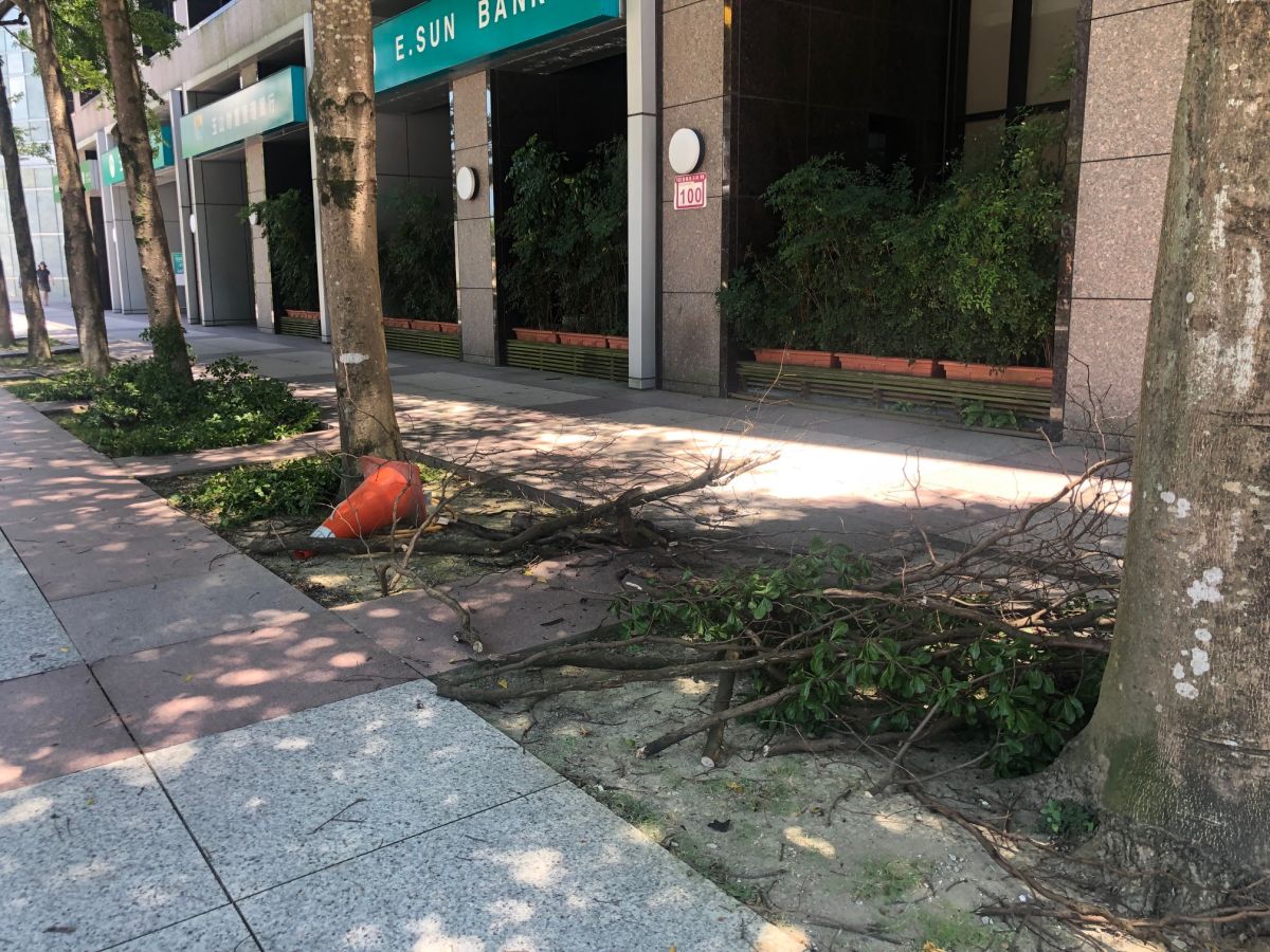 ▲颱風來臨前除須疏通社區水溝，也要修剪樹枝，避免造成災害。（圖／信義房屋提供）