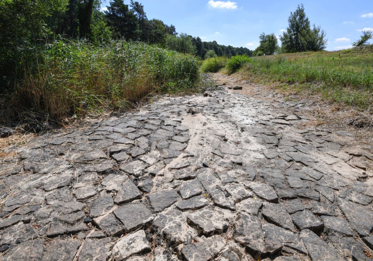 ▲全球1/4人面臨水資源短缺（圖／美聯社／達志影像）