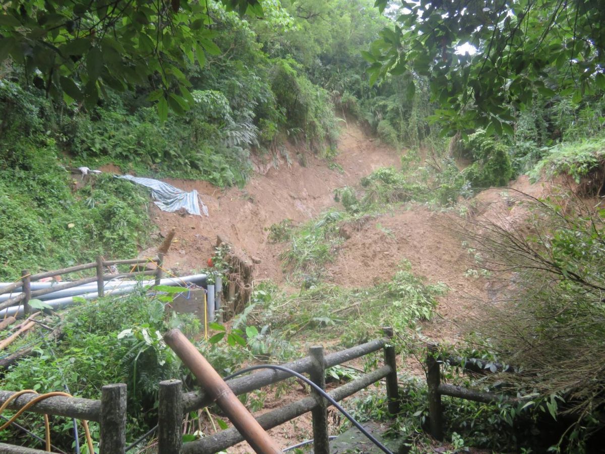 ▲大坑1號登山步道0K+000至0K+300路段暫封閉 (圖／觀旅局提供2019.8.8)