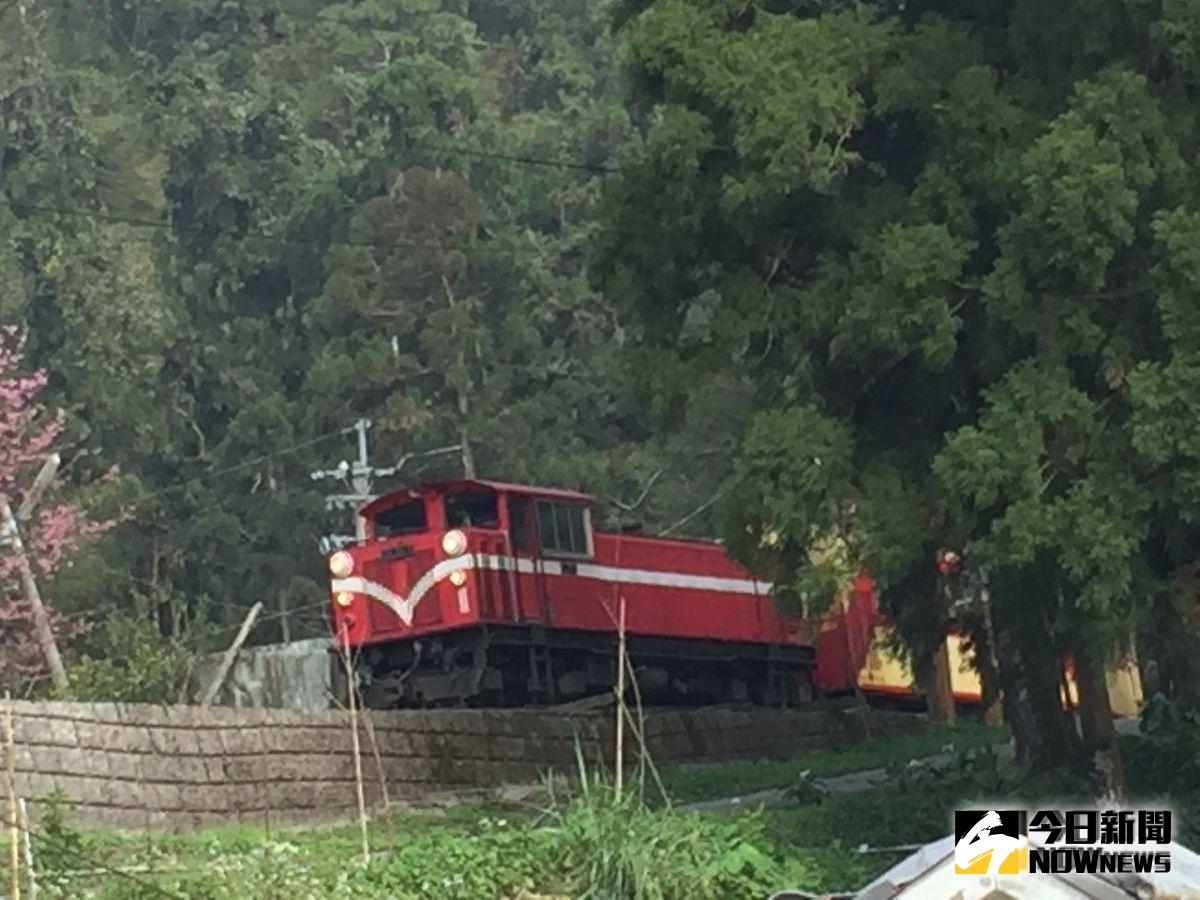 ▲受利馬奇颱風影響，阿里山鐵路本線將停駛。（圖／記者陳惲朋攝 , 2019.08.06）
