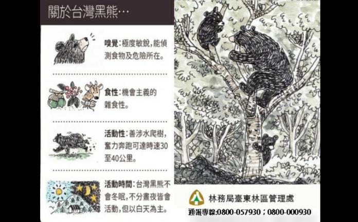 ▲台灣黑熊為雜食性，且活動力極強。（圖／台東林管處提供）