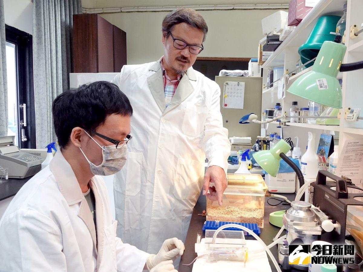 ▲中正大學開發基因治療載體，能有效治療攝護腺癌。（圖/記者邱嘉琪攝，2019.08.12）

