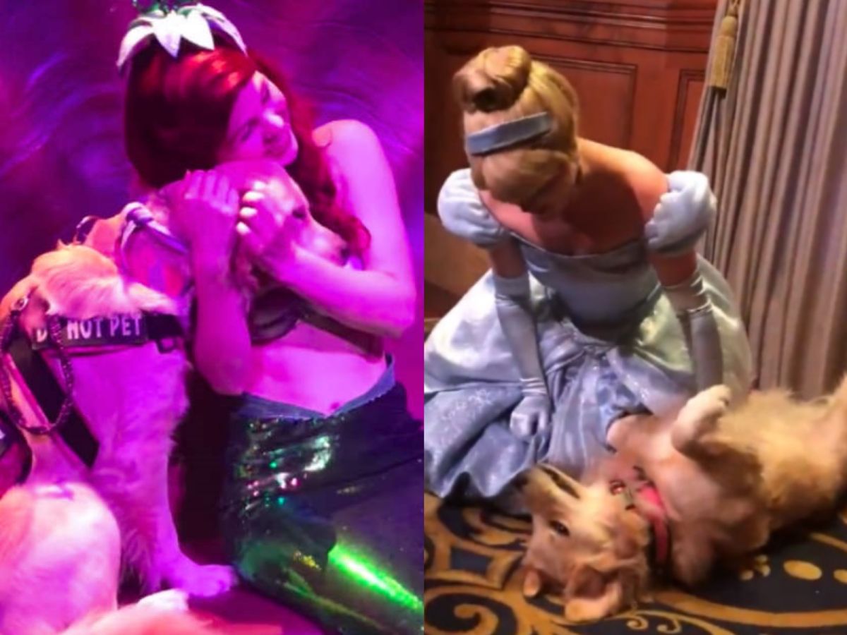 愛麗兒邀請娜拉一起坐在寶座上，娜拉會興奮仰著頭求她抓抓下巴，還會自己躺到愛麗兒懷裡討抱抱。 (圖/Megan Leigh)