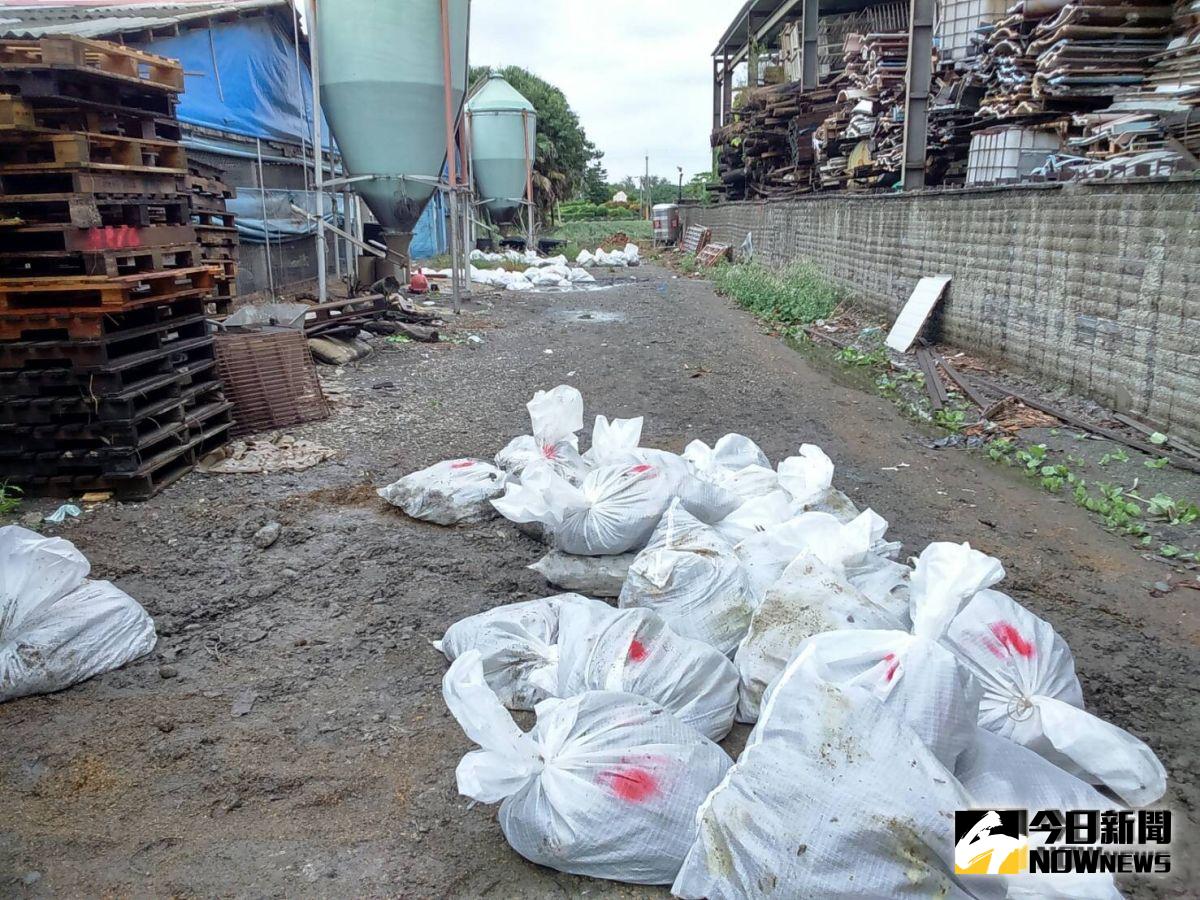 ▲家衛所確診感染H5N2亞型高病原性禽流感病毒，防疫人員完成全場撲殺清場及消毒工作。（圖／記者陳雅芳翻攝，2019.08.13）