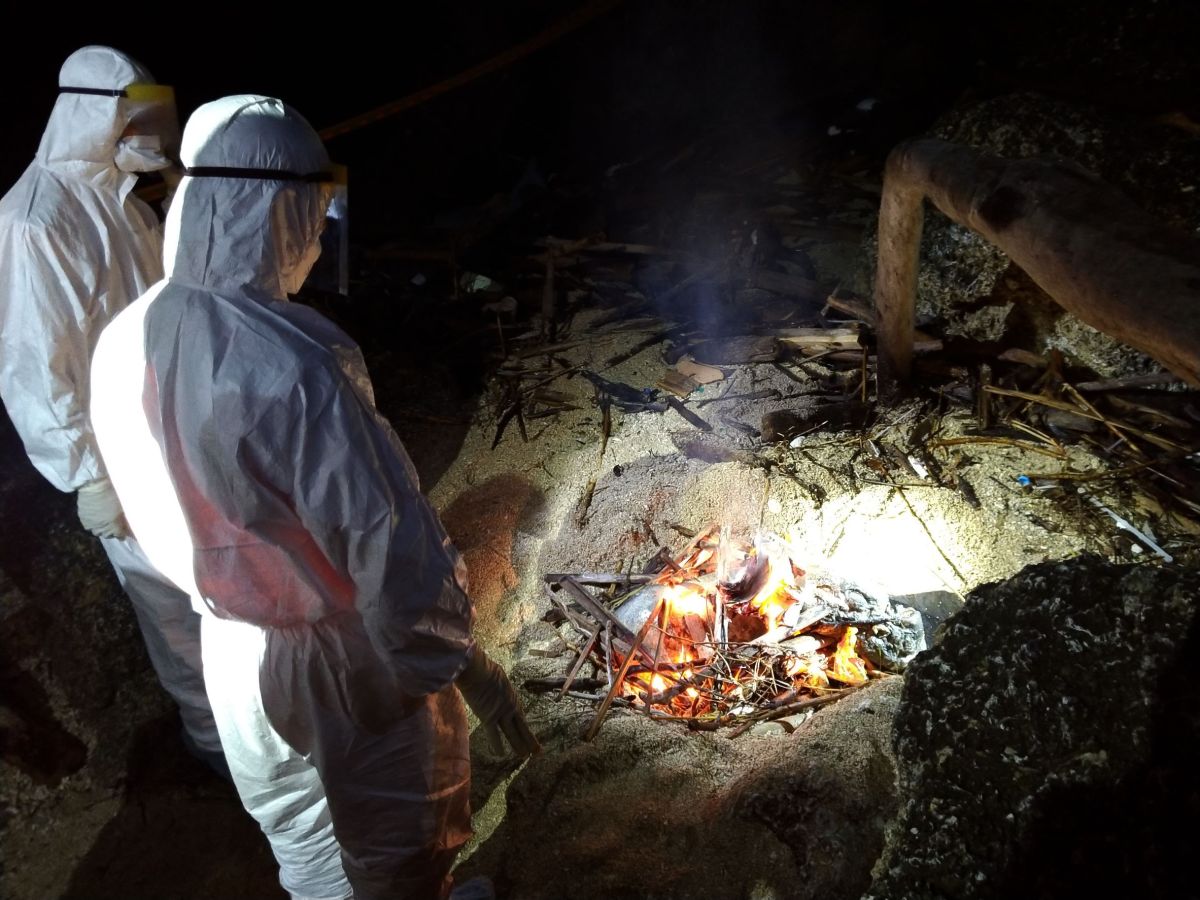 ▲屏東縣動物防疫所13日於琉球龍蝦洞發現一隻豬屍。（圖／屏東縣政府提供）